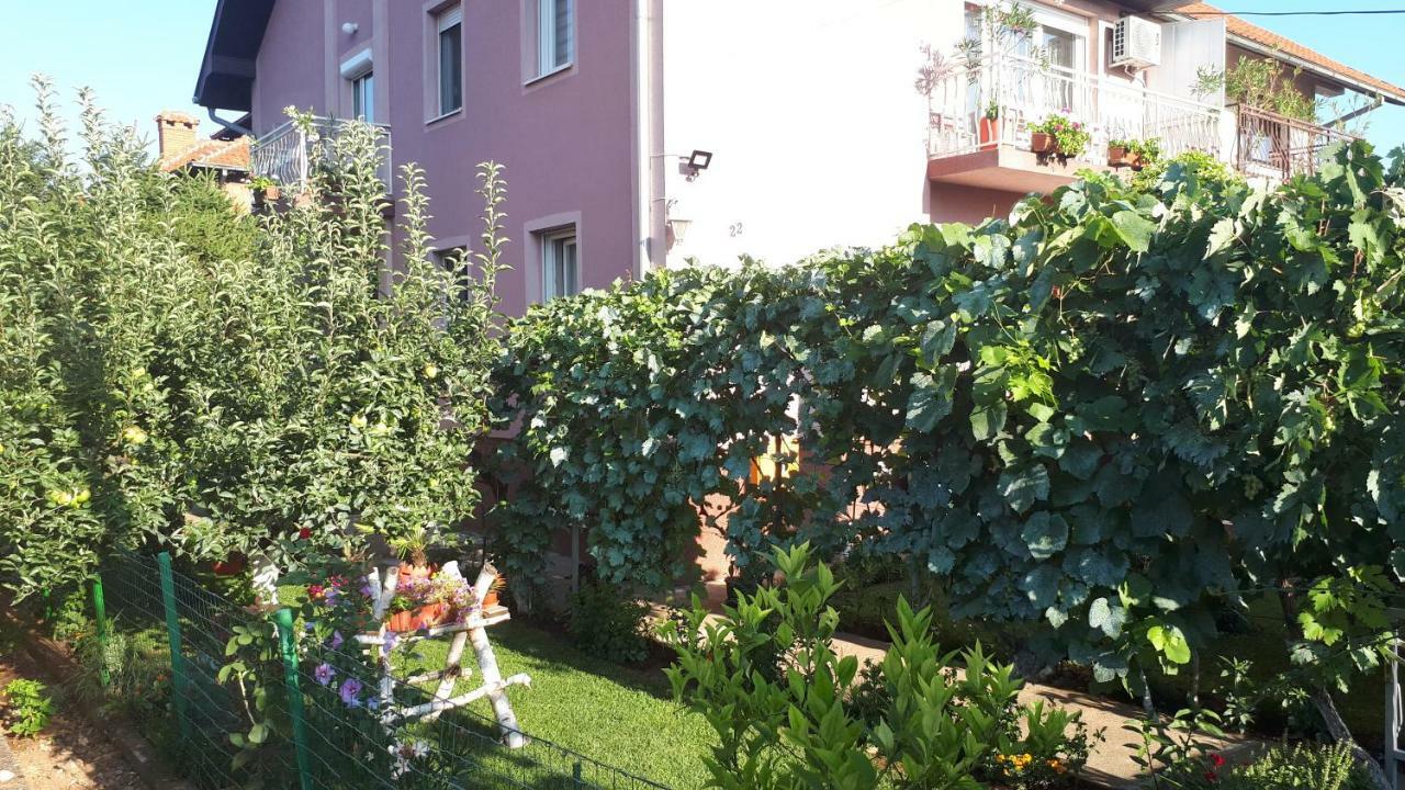Exclusive Apartment Парачин Екстериор снимка